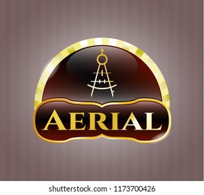  Gold badge or emblem with drawing compass icon and Aerial text inside