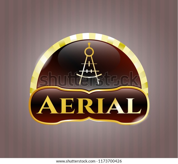  Gold badge or emblem with drawing compass icon\
and Aerial text inside