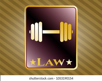      Gold badge or emblem with dumbbell icon and Law text inside