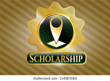  Gold badge or emblem with map pointer icon and Scholarship text inside