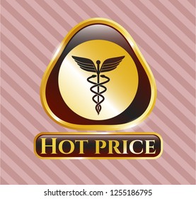  Gold badge or emblem with medicine icon and Hot Price text inside