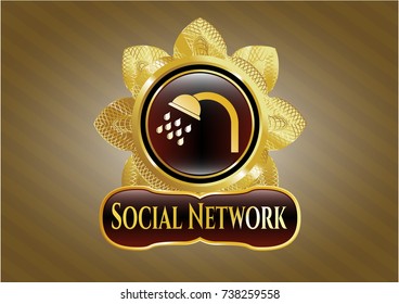  Gold badge or emblem with shower icon and Social Network text inside