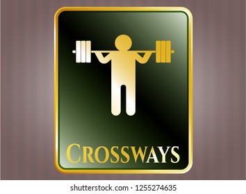  Gold badge or emblem with squat icon and Crossways text inside