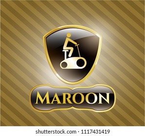  Gold badge or emblem with stationary bike icon and Maroon text inside