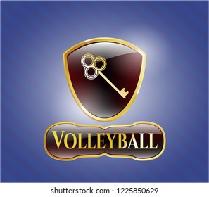  Gold badge with key icon and Volleyball text inside
