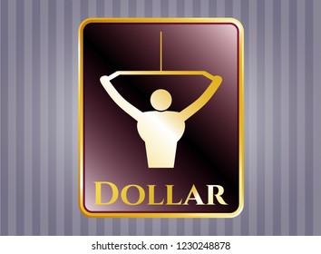  Gold badge with lat pull down, exercise icon and Dollar text inside
