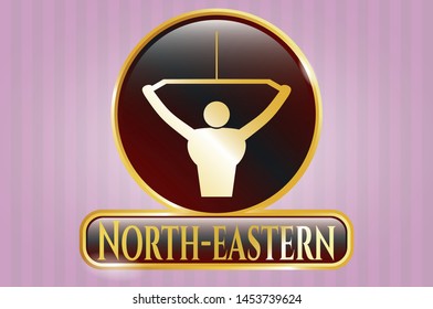  Gold Badge With Lat Pull Down, Exercise Icon And North-eastern Text Inside