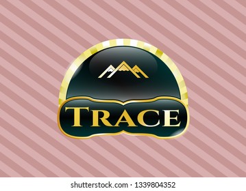  Gold badge with mountain icon and Trace text inside