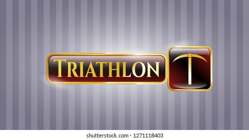  Gold badge with pickaxe icon and Triathlon text inside