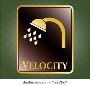  Gold badge with shower icon and Velocity text inside