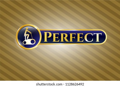  Gold badge with stationary bike icon and Perfect text inside