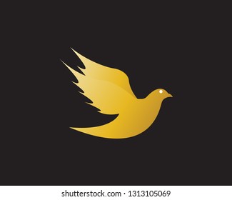 Gold Bird Dove Logo Vector in Elegant Style with Black Background