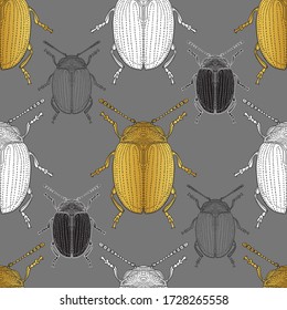 Gold, black and white beetles. Isolated round insects on a gray background. Seamless vector pattern.