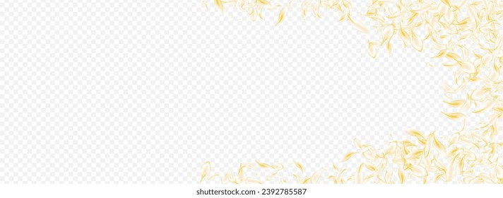 Gold Blossom Fall Vector Panoramic Transparent Background. Light Flying Rose Illustration. White Peach Japan Frame. Yellow Lotus Spring Backdrop. Beauty Floral Template.