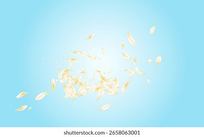 Gold Blossom Falling Vector Blue Background. White Beauty Sakura Pattern. Beige Floral Japanese Backdrop. Yellow Petal Summer Template. Fly Peach Banner.