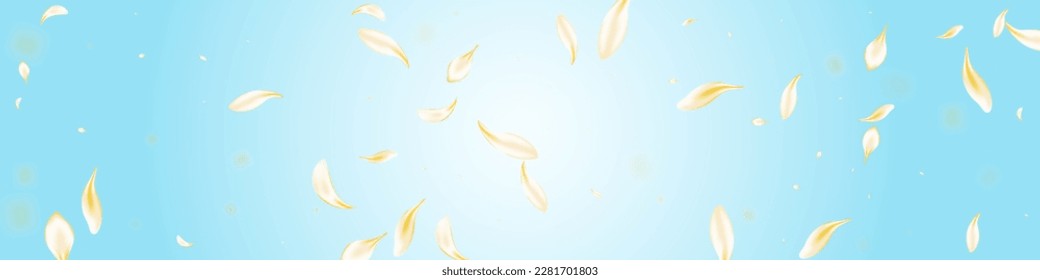 Vector japonés con flores de oro fondo azul Panorámico. Afiche de la Engranaje Amarillo Caído. Sakura Ligera, Fondo Volador. Plantilla de Licitación de Petal Blanco. Fondo de escritorio de cerezo de Japón.