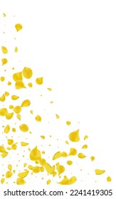 Gold Blossom Spring Vector White Background. Summer Flower Wallpaper. Canary Floral Beauty Backdrop. Lemon Rose Fall Template.