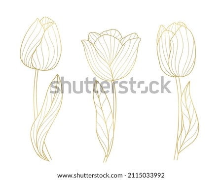 Similar – tulips Plant Spring Summer