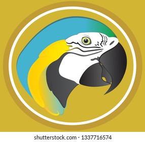 Gold and blue macaw