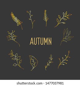 Gold Botanic design elements. Drawings of plants in the style of doodle. Autumn vector decor