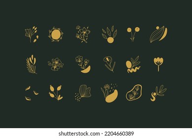 Gold Botanical elements. Golden Line leaves and flowers, logo emblem or label, contemporary objects, minimal style decor doodle for branding, wedding invitation design vector set