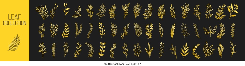 Hoja botánica de oro y Vector floral sobre fondo transparente.