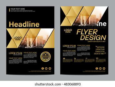 Gold Brochure Layout design template. Annual Report Flyer Leaflet cover Presentation Modern background. illustration vector in A4 size