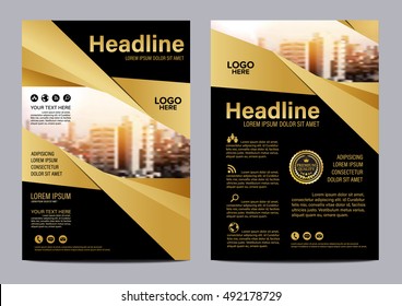 Gold Brochure Layout design template. Annual Report Flyer Leaflet cover Presentation Modern background. illustration vector in A4 size
