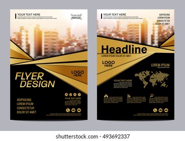 Gold Brochure Layout design template. Annual Report Flyer Leaflet cover Presentation Modern background. illustration vector in A4 size