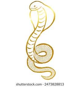 Gold Brush Stroke Cobra Illustration Material
