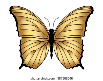 Gold butterfly isolated on white background. Vector illustration.