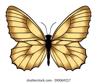 Gold butterfly isolated on white background. Vector illustration.