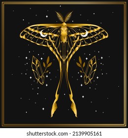 Gold butterfly vector illustration. Mystical moth. Esoteric alchemy symbol. Design for poster, card, t shirt print, sticker.