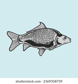 gold carp fish hand drawn vector illustration