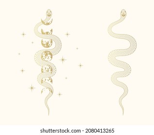 Gold celestial set with stars and snake wrapping around the moon. Golden mystical print for witchcraft. Spiritual vector illustration for covers,  t-shirt design, fabrics, notebooks and cards.