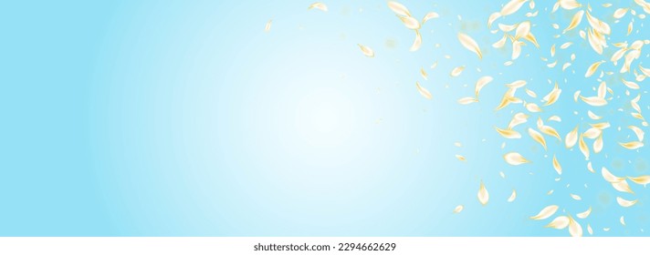 Gold Cherry Flying Vector Panoramic Blue Background. Yellow Spring Blossom Design. White Floral Falling Poster. Beige Petal Beauty Banner. Fly Lotus Pattern.