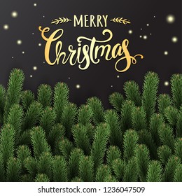 Gold Christmas Typographical on red shiny background with fir branches, berries, lights, stars. Xmas and New Year theme. Vector Illustration