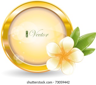 Gold circle frame with white frangipani flower, eps-10