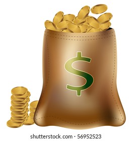 Gold Coin Bag