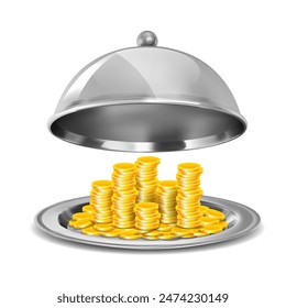 Gold coins on a silver tray on a white background. Vector illustration