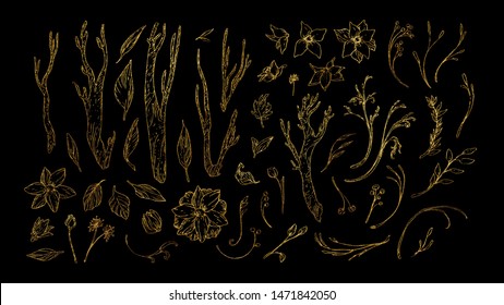 Gold Collection Of Leaves And Flowers, Branches, Autum Decor. Set Of Golden Vector Floral Design Elements For Invitation, Wedding Cards, Valentines Day, Greeting Cards. Isolated On Black. 