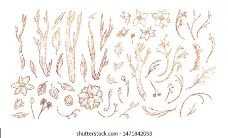 Gold Collection Of Leaves And Flowers, Branches, Autum Decor. Set Of Golden Vector Floral Design Elements For Invitation, Wedding Cards, Valentines Day, Greeting Cards. Isolated On White. 