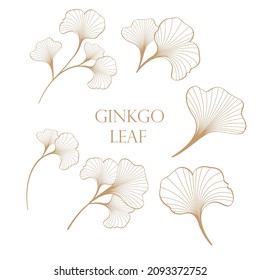 gold color ginkgo leaf vector design illustration 