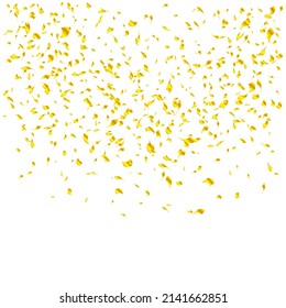 gold confetti decorative transparent background, Falling shiny golden confetti isolated on transparent background. Bright festive tinsel of gold color.