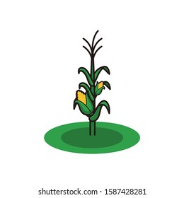 Gold corn tree vector illustration for agriculture and vegetarian food