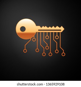 Gold Cryptocurrency key icon isolated on black background. Concept of cyber security or private key, digital key with technology interface. Vector Illustration