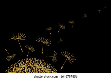 Dandelion, monjas, sonquus oleraceus, resorte, closeup, naturaleza, cabeza de flor amarilla, semilla de león, flor. Patrón oro mínimo sobre fondo negro 20 retro. Ilustración vectorial de estilo Art Déco vintage