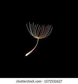 gold dandelion seed isolated on black background