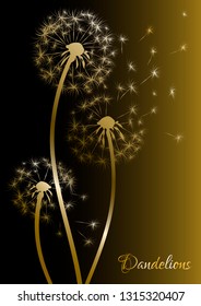 Gold dandelion silhouette on dark background. Vector illustration.