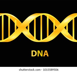 Gold and Dna icon. Dna symbol. Dna helix symbol. Gene icon. Vector illustration on black background